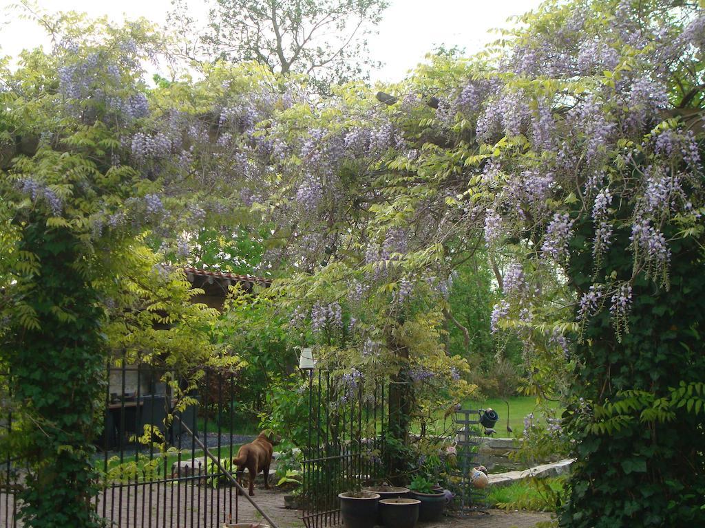 B&B De Lotus Hoevelaken Εξωτερικό φωτογραφία