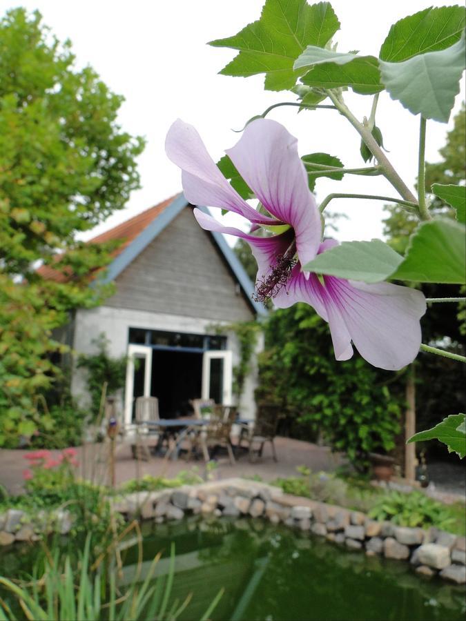 B&B De Lotus Hoevelaken Εξωτερικό φωτογραφία